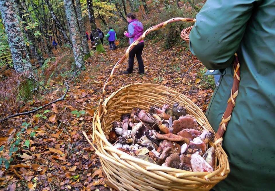 Гостевой дом A Casoa Санта-Эулалия-де-Оскос Экстерьер фото